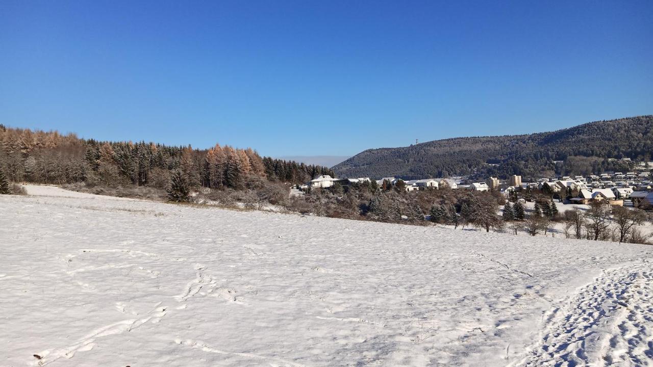 Fewo Mit Tollem Ausblick Auf Der Schwaebischen Alb. Apartment Wehingen Екстериор снимка